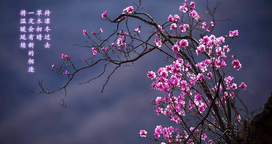 FH至尊·(中国)有限公司官网